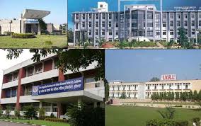 Top 5 Veterinary Colleges in India